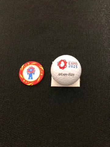 EXPO 2025 골프공과 핀 배지 세트