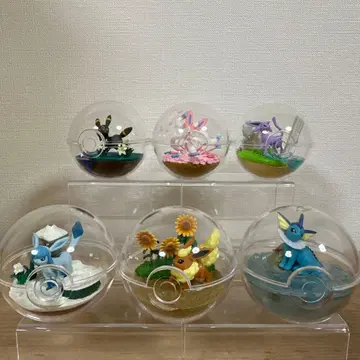 포켓몬 테라리움 컬렉션 부스터즈