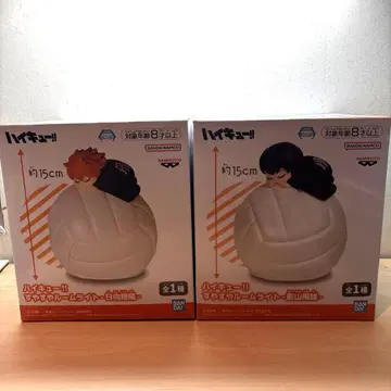 하이큐 스야스야 룸 라이트 히나타 쇼요 카게야마 토비오