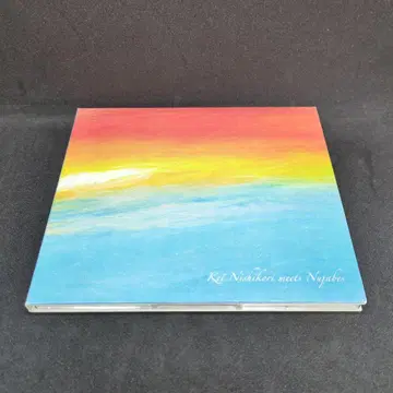 Kei Nishikori meets Nujabes