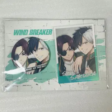 WIND BREAKER 중국 캔뱃지 폴라로이드 사쿠라 하루카 스오 하야토