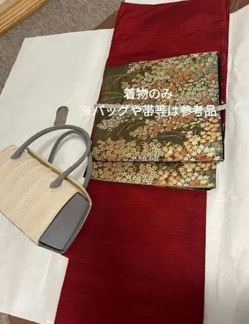 츠무기 기모노만 (교육용 실 제거 완료)