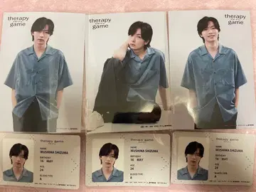 테라피 게임 브로마이드 3장 세트 나마시마 세이신 토미타 유키