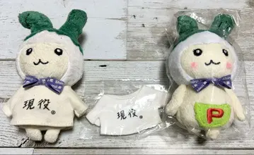 [ 미개봉 새상품 ] 시드 네기피 x 2체 현역 셔츠 set