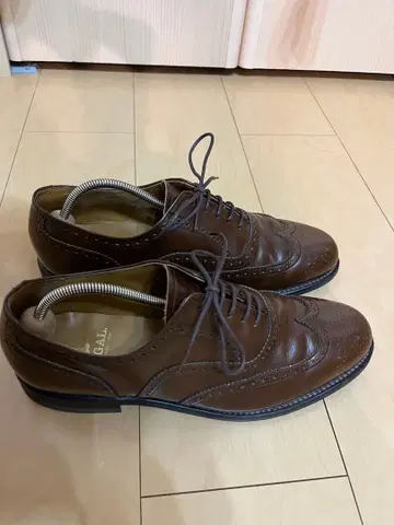 REGAL 리갈 윙팁 26cm