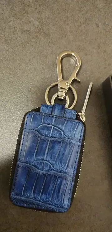 파란색 크로커다일 패턴 키케이스