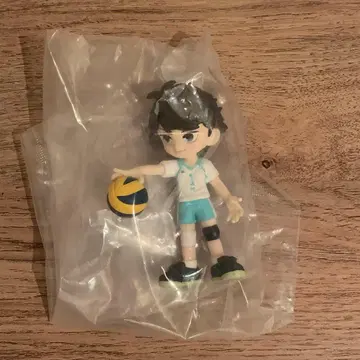 오이카와 토오루 팔버스 Palverse