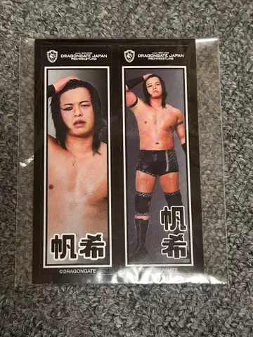 DRAGONGATE 센샤후다풍 씰 호키 선수