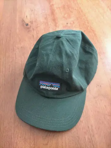 patagonia 그린 컬러