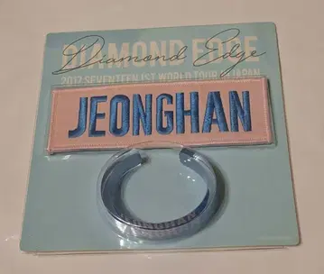 정한 와펜 배지