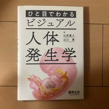 한눈에 보는 비주얼 인체 발생학