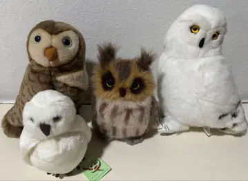 올빼미 봉제 인형 4개