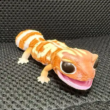 생물대도감 렙티 니시아프리카 도마뱀붙이 아멜 알비노 캡슐 토이