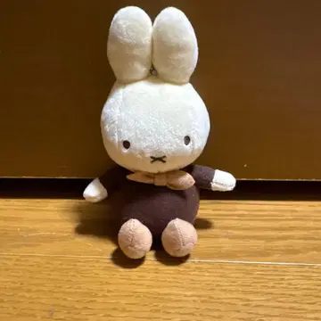 미피 나인체 하우텐보스 브라운 키링