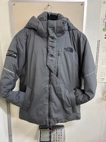 THE NORTH FACE 그레이 다운 자켓