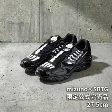 MIZUNO x SBTG WAVE RIDER10 27.5cm