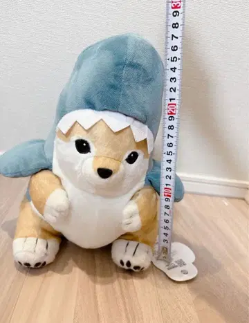 상어냥 강아지 빅 봉제 인형