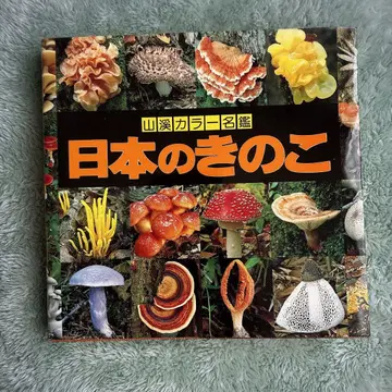 일본의 버섯