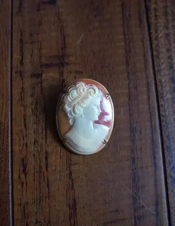 빈티지 카메오 브로치 여성의 옆모습 클래식 마담 액세서리