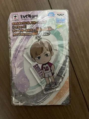 하이큐 큥캐러 일러스트레이션즈 플레이트 키링 시라부 켄지로