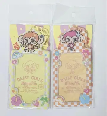 데이지라버즈 트레이딩 카드 케이스 루키 세트