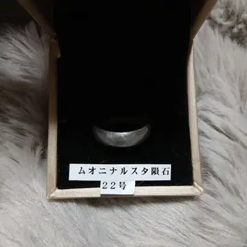 무오니날스타 운석 22호