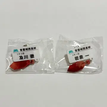 [하이큐] 참 포함 네임 배지 컬렉션 오이카와 이와이즈미