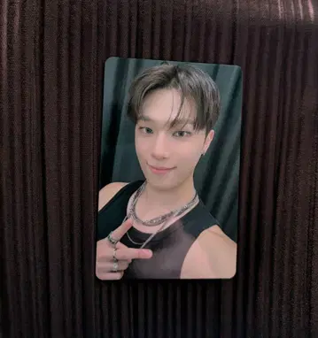 SEVENTEEN 디노 트레이딩 카드 팬클럽 CARAT 갱신