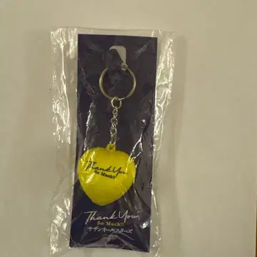 서던 올스타즈 LIVE tour2025 하트 키링