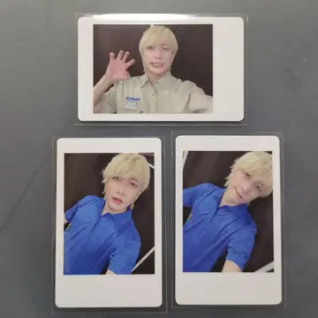 팬더드래곤 요타 전곡 라이브 하피카 토부 동물공원 3매