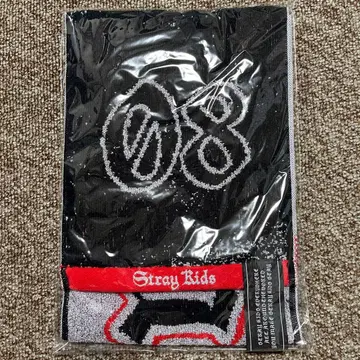 straykids dominATE 에코파 머플러 타월 아이엔