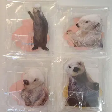 [ 새상품 ] 카프쿠지 x 토바 수족관 펜 스탠드 4개 세트