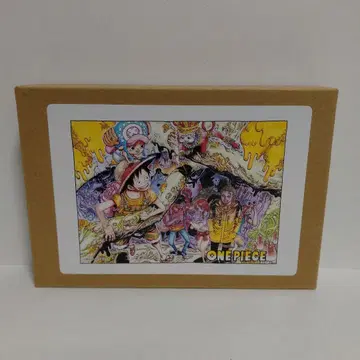 원피스 아크릴 아트