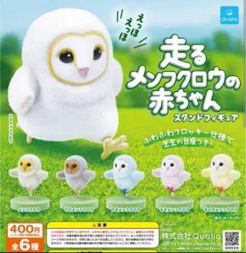 달리는 가면올빼미 아기 전 6종 세트 쿠오리아