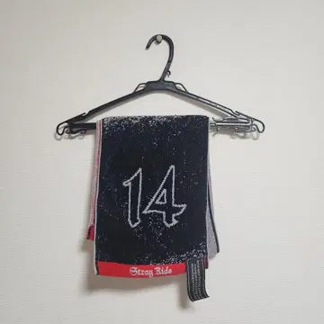 straykids 한 dominATE 에코파 머플러 타월 스키즈