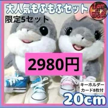 이탈리안 레인 로트 토라라레로토라라라 모후모후 세트