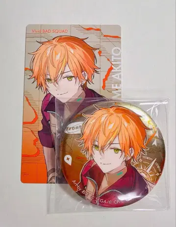 프로세카 세카라이 에피카 캔뱃지 아키토