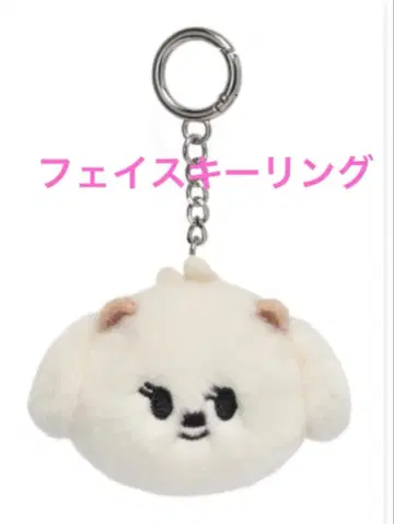 TXT 뿔바투 밤굿 페이스 키링 범규