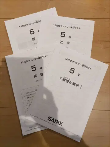 SAPIX 5학년 먼슬리 12월