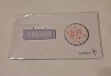 정한 배지 세트