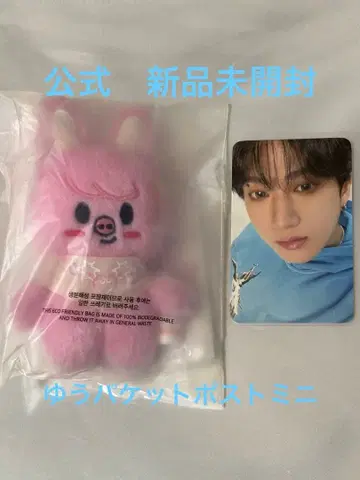 창빈 봉제 인형 10 skzoo 돼끼 stray kids