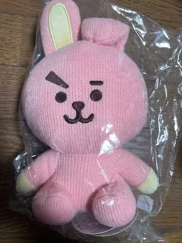 LINE Friends COOKY 니트 플래시 봉제 인형
