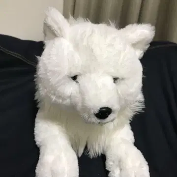 나스 동물 왕국 한정판 무릎 늑대