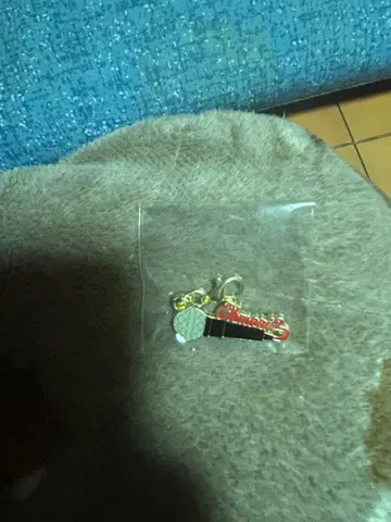 Mrs. GREEN APPLE FJORD 메탈 참 A