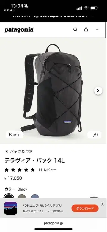Patagonia 테라비아 팩 14L 블랙