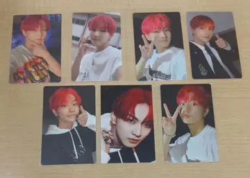 ENHYPEN 정원 MANIFESTO: DAY1 트레이딩 카드 7장