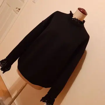 AMERI 레이스 활용 상의