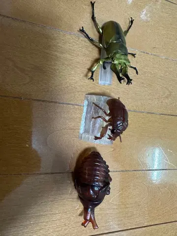 리얼 곤충 피규어 세트 제일복권 곤충