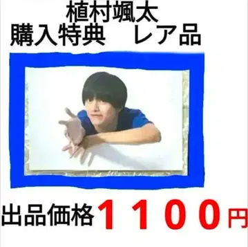 고양이의 좁쌀만큼 넓은 와이드 온라인 복권 우에무라 소우타