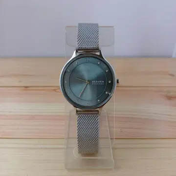SKAGEN 쿼츠 손목시계 SS